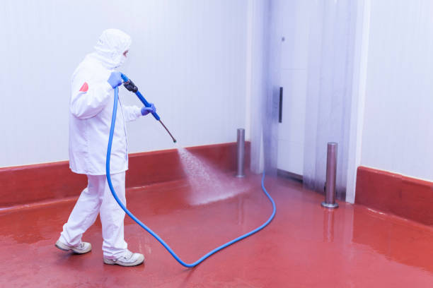 Concrete Sealing in Saraland, AL